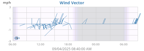 Wind Vector