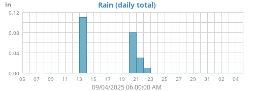 Rain
