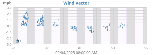 Wind Vector